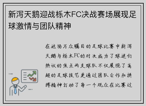 新泻天鹅迎战栎木FC决战赛场展现足球激情与团队精神